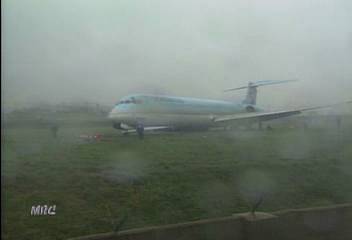 KAL기 울산공항 착륙중 활주로 이탈 3명 부상홍상순