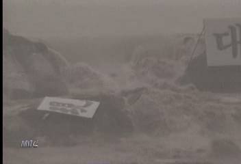 태풍으로 29명 사망실종 교통사고로 8명 사망이인용