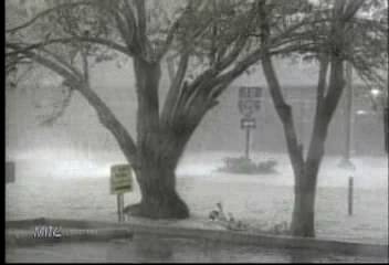 미국 허리케인 사망자 3명 도미니카는 200여명박영선