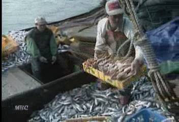 동해 어민들 대게 90 오징어 50 어장 상실김기영