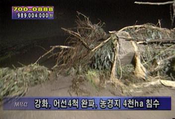 김포강화도 피해 규모 작다전동건