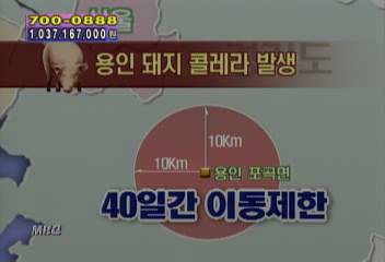 용인 포곡면에 돼지콜레라 발생해 농림부 긴급 방역김수영