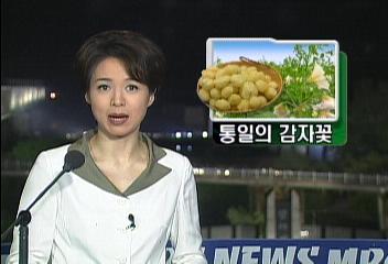 북한 식량난 해소 위해 통일의 감자 보내기 운동 한창이언주