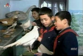 북한의 어린이들 겨울방학 과외보충수업에 시달린다김현경