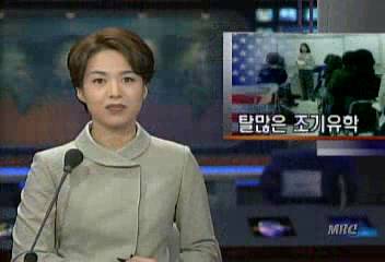 조기유학 실태문제점 진단 비용 고액 탈선 위험 등김종국