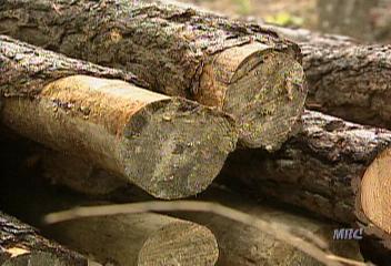 울산 울주군 산림 불법 훼손 방관박치현