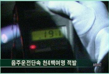 음주운전단속 천4백여명 적발최율미