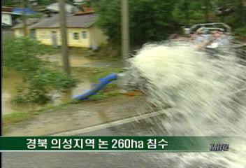 경북 내륙지방 수백 헥타르 벼논 침수이호영