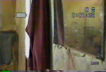 친부모가 자식에게 구걸 앵벌이 시켜배범호