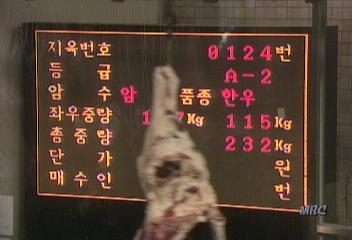 쇠고기 소비 격감에 축산농 아우성이동애