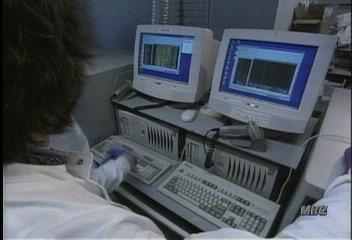 사람의 유전자 정보 한눈에 볼 수 있는 게놈 시대의 명암박선영