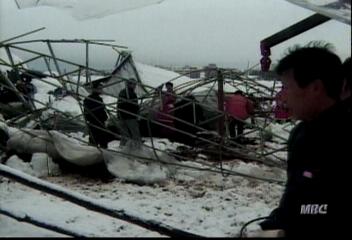 눈 피해에 울상짓는 농가고일욱