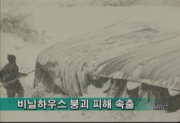 최고 25cm 내린 영서지방 눈 피해 컸다강화길