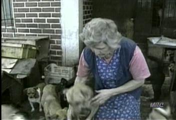 칠레 버려진 개 110마리 키우는 여성김효엽