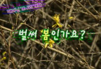 연내 이산가족 실무접촉 제의김주하