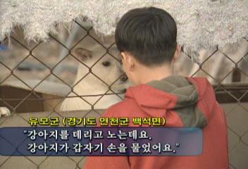 경기도 연천군 등 광견병 초비상현원섭