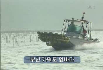 부산 가적도 등 소형 선박 폭주족 위험천만이만흥