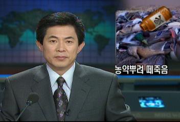 평택시 안성천 청둥오리 검독수리 농약 떼죽음이재훈