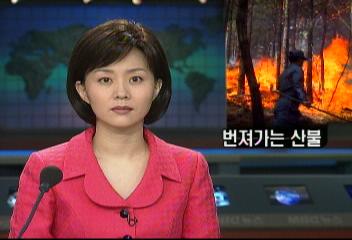 강원도 홍천 검산령 산불금기종