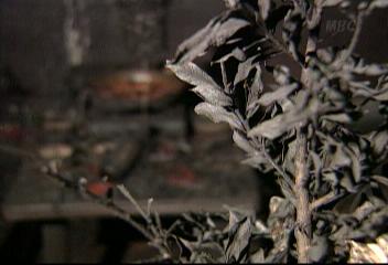 경기도 성남시 지하주점 화재 고교생 11명 화상박충희