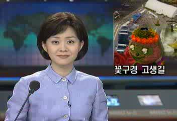 안면도 국제 꽃박람회고양시 꽃박람회 고생길전봉기