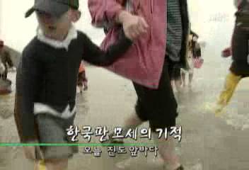 데스크영상진도 한국판 모세의 기적