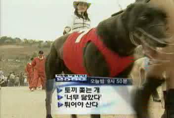 시사매거진 2580 예고최율미