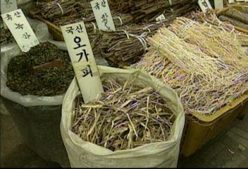 오가피 제품 시장 천억원대 예상 천여개 업체 난타전이동애