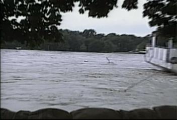 미 중서부 등 가뭄 유럽 대홍수 세계 곡물가격 폭등최기화