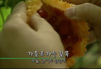 데스크영상가을로 가는 길목 경기도 남양주