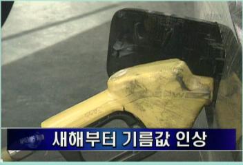 불법체류 자진출국 1월 15일로 연기김주하