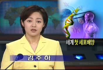 서울대 연구팀 세계 첫 인간배아 줄기세포 복제 성공송기원