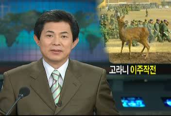 공군 활주로 고라니 이주작전19 전투비행단김계애