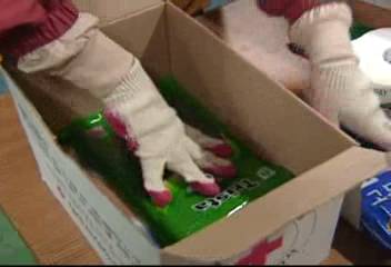 대한적십자사 1차 구호품 전달 민간단체 구호품 북측 전달예정왕종명