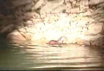 위협받는 수달 서식처카메라출동허무호