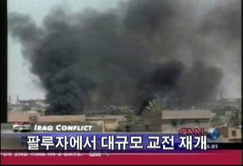 이라크 팔루자 대규모 교전재개저항세력 모스크 첨탑 파괴김형철