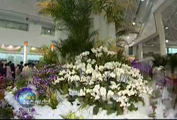 데스크 영상꽃향기에 취하겠네경기도 고양 꽃박람회