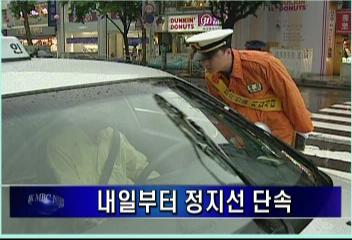 6월1일 부터 정지선 단속김주하