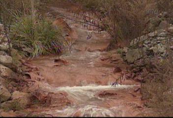 카메라출동강원도 정선 계곡 중금속 폐수 콸콸전봉기