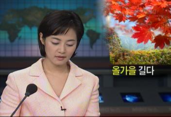 고온 현상으로 오랫동안 가을정취 느낄 수 있을 것으로조문기