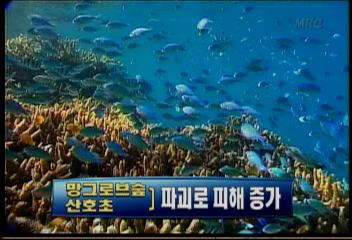 지진 해일피해 특히 심한지역 인간의 무분별한 환경파괴 원인김연석