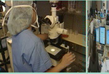 돈벌이 위한 정난자 유통금지김주하