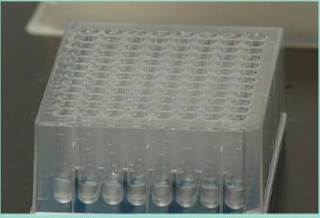 정난자 유통 금지김주하