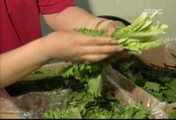 농가간 소득격차 12배 농촌지역 빈부격차 도시 비해 심각김주하