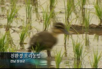 데스크 영상 친환경 오리농법전남 장성군
