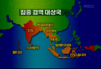 남부아시아 지진해일 이후 인천국제공항 콜레라 검역 비상이상현