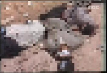 이라크 저항세력 생포한 이라크 방위군 19명 사살홍상원