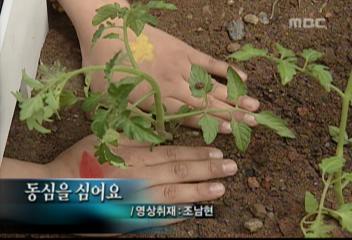 데스크영상 동심을 심어요방울토마토 심는 아이들 등