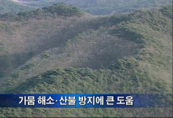 기상청 전국 내일 밤 단비 최고 60mm의 많은 비 예상강원 산간 폭설지윤태