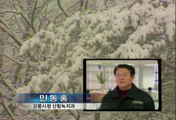가뭄지역 강원도 영동지역 백두대간 반가운 눈 내려유충환
